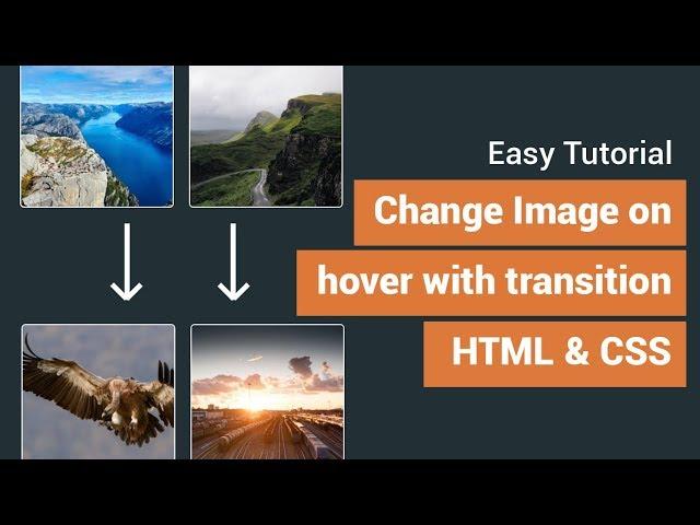 Change background image on hover with css transition effects | CSS Hover Effect