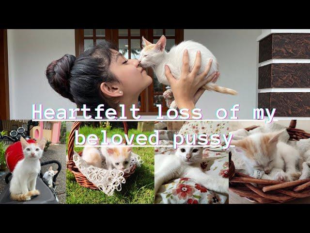 Heartfelt loss of my precious *PUSSY* #elsadaydreams #cat