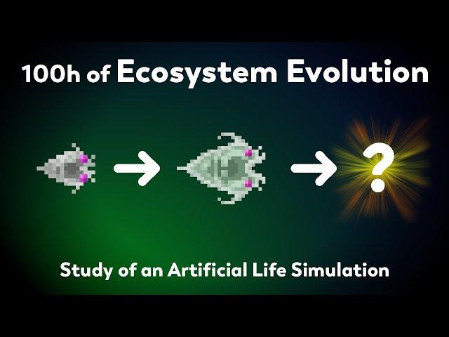 What will happen after 100h of evolution?  Study of natural selection in an ecosystem simulator