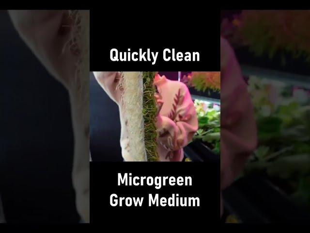 How to quickly clean Reusable Microgreen Grow Medium