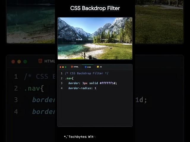 css backdrop filter property| html css | codingtips #html #css #shorts #education #webdevelopment