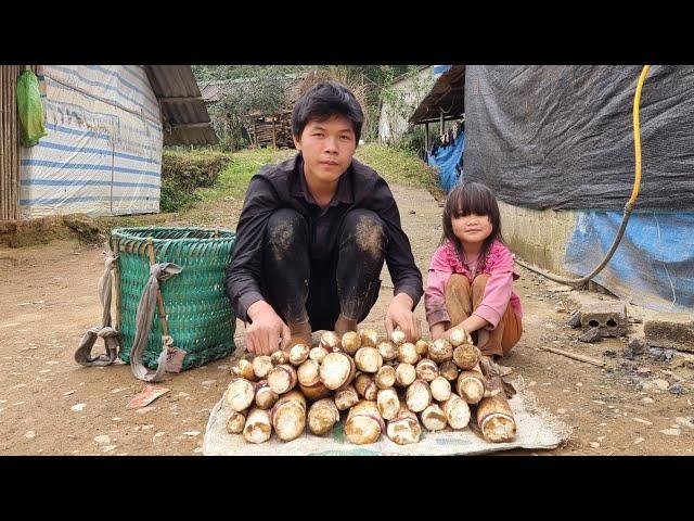 The homeless boy and the orphan girl picked bamboo shoots to sell and the ending