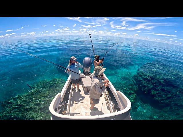 Great Barrier Reef Fishing in 1 metre of water. Ep 3