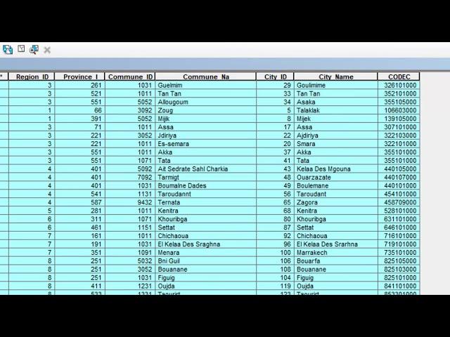 Export data from ArcGis to Excel