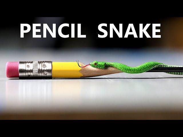 I Carve a Venomous Snake into a Pencil