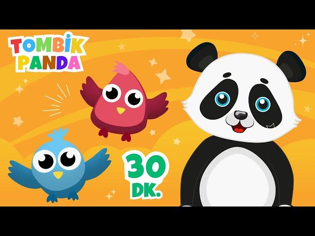 Tombik Panda Çocuk Şarkıları | En Güzel Çizgi Filmler | 30 Dakika Bebek Şarkıları