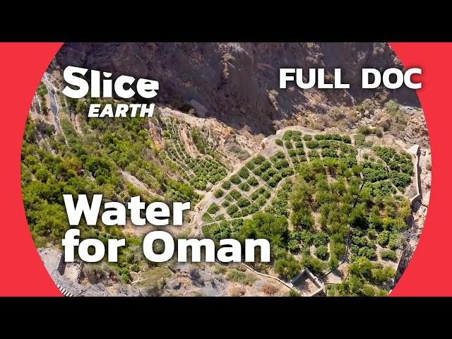 Oman: Watering the Hanging Gardens of Jebel Akhdar | SLICE EARTH | FULL DOC