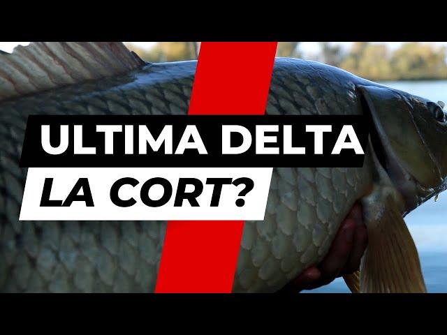 ULTIMA DELTA LA CORT!?! -  Pescuit la crap in Delta Dunarii - 4K