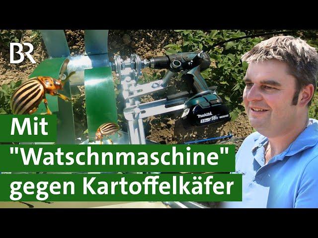 Die Anti-Kartoffelkäfer-Watschnmaschine | Landmaschinen | Unser Land | BR