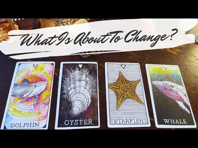 the next big change in your life ‍️ pick a card reading