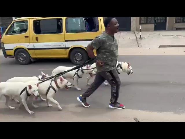 Cité parmi les contacts politiques de l’AFC Joseph Olengankoy,détendu ce matin dans une rue de Kin