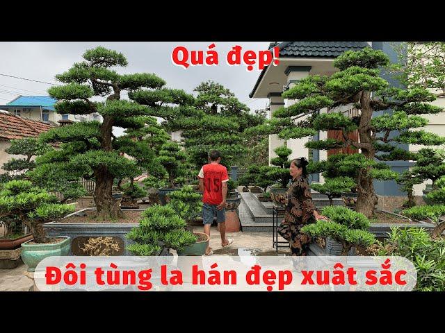 Đôi tùng la hán dáng trực đẳng cấp