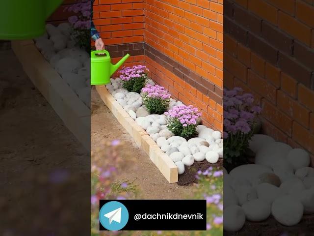 #цветы #flowerhack #лайфхаки #украшения #идеи #тренды #советы #садоводство