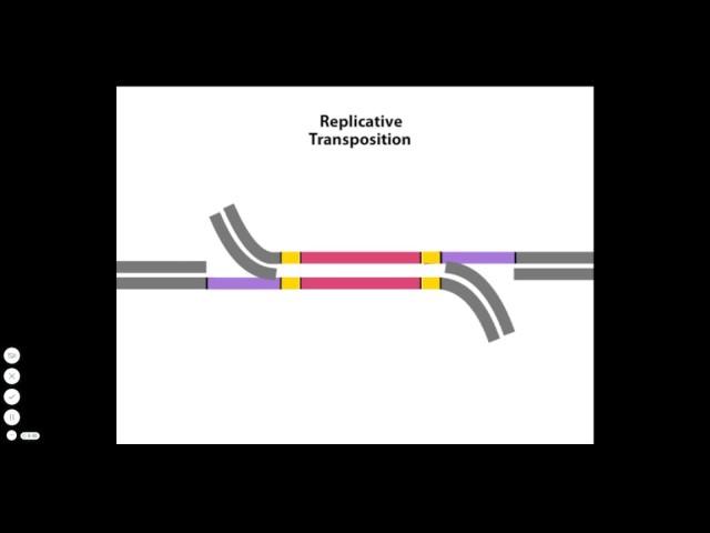 Transposition