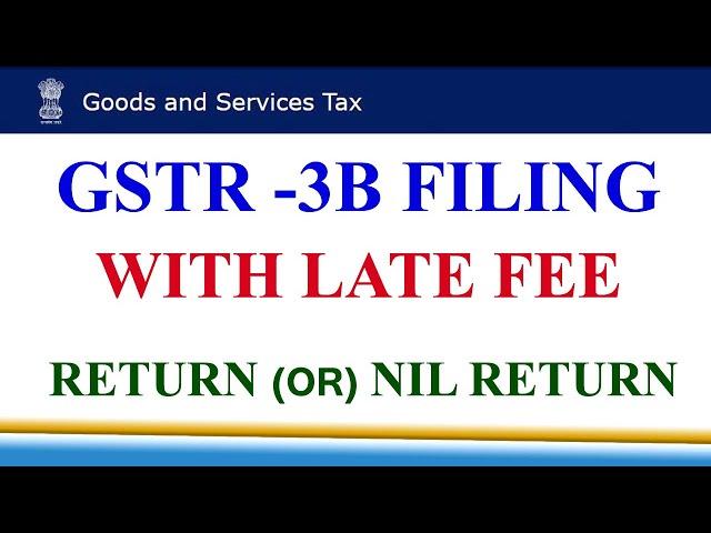 GSTR 3B Filing with Late payment?//GSTR 3B filing//Return or Nil Return with Late fee