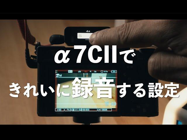 SONY α7CIIで音声をきれいに録る方法、外部マイクと内蔵マイクの録音レベル【撮影のコツ】