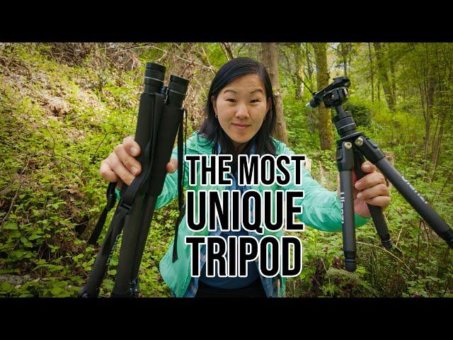 This is MORE than a tripod -  Hiking pole tripod with 6 uses!