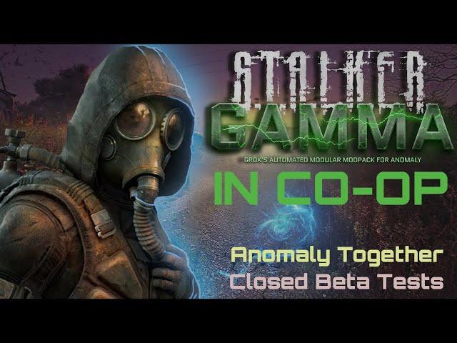 GAMMA in CO-OP Tested | Anomaly Together