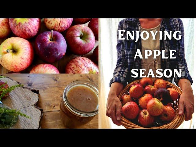 4 Apple Recipes to Enjoy this Fall