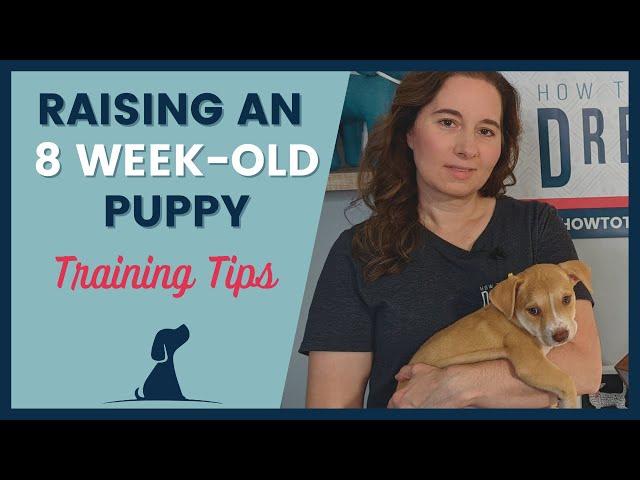 8 Week Old Puppy Training Tips