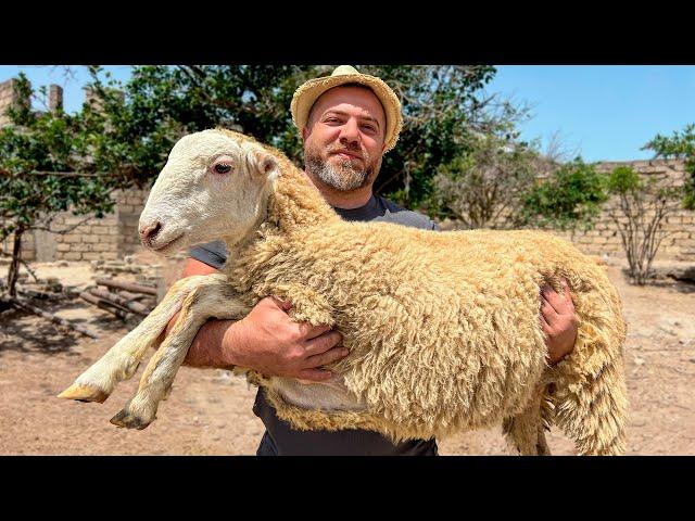 Butchering A Whole Sheep And Cooking A Juicy Stew That Makes Me Crazy