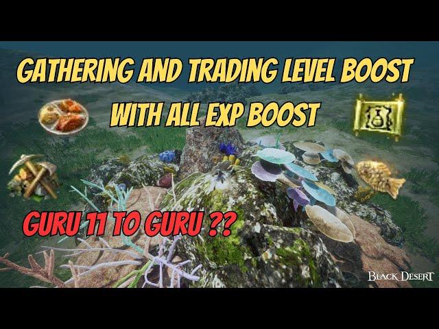 BDO Life | Gathering & Trading Level BOOST | 2700 Mastery