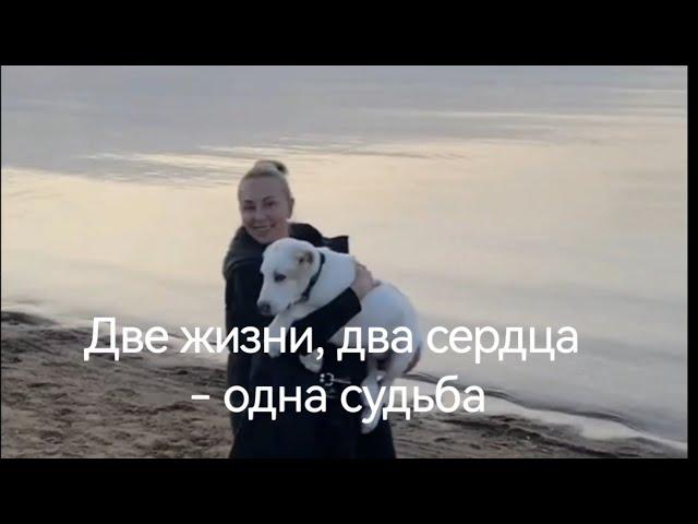 Судьба Человека и Алабая. Наш гость - Марина КОРНАТОВСКА.