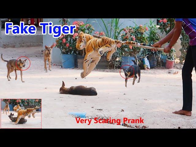 Wow !! Top Scaring Prank FAKE TIGER VS SLEEPING DOG - Super Funniest , How can stop Laugh