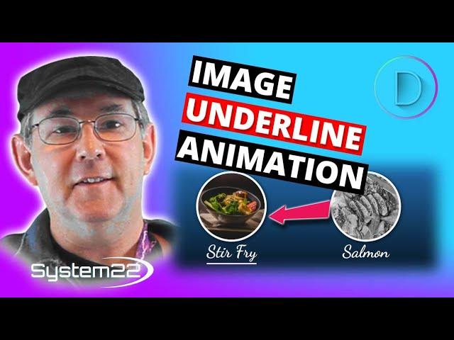 Divi Theme Image Underline Animation On Hover 