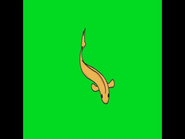 2D ANIMATION FISH SWIMMING GREEN SCREEN #shorts