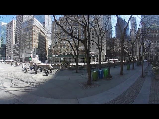 New York Public Library 360°