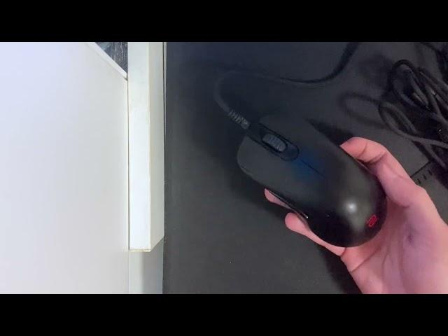 Zowie ZA12-C – The Best Gaming Mouse You SHOULD Try