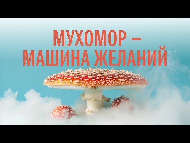 Мухомор как машина желаний. Скоро: курс по позитивной трансформации личности