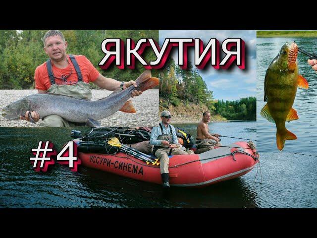 Таймени ЯКУТИИ - Команда рыбаков клуба "ЛЕФУ" на новой реке ... (4 серия)