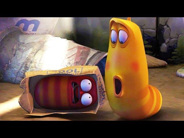 LARVA - HIDE AND SEEK | Cartoon Movie | Cartoons | Comics | Larva Cartoon | LARVA Official