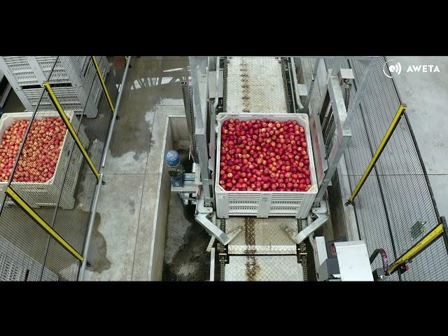 AWETA | Unifrutti Apple sorting & packing line