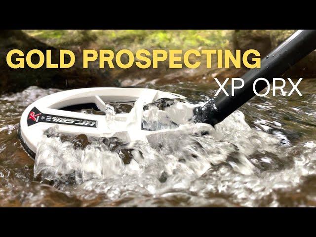 Gold Prospecting XP ORX