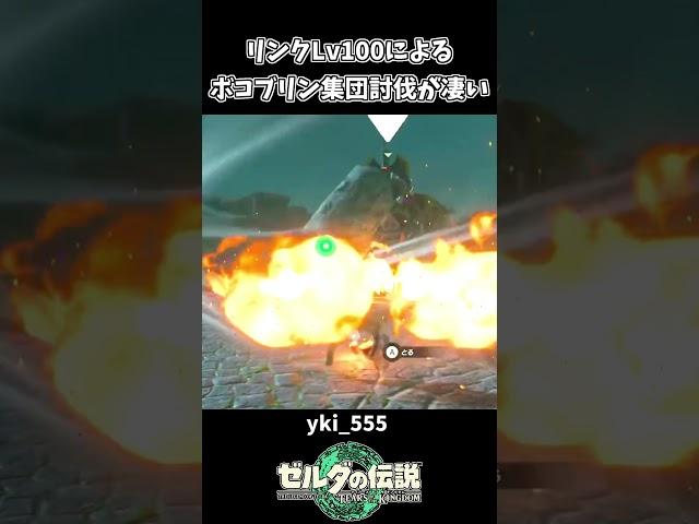 【ティアキン】リンクLV100によるボコブリン集団討伐が凄い【ゼルダの伝説 ティアーズ オブ ザ キングダム】