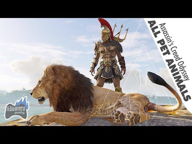 Assassin's Creed Odyssey Beastmaster Tame All Pet Animals Locations