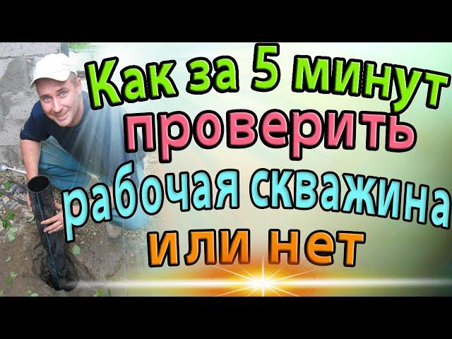 КАК ЗА 5 минут ПРОВЕРИТЬ РАБОЧАЯ СКВАЖИНА ИЛИ НЕТ