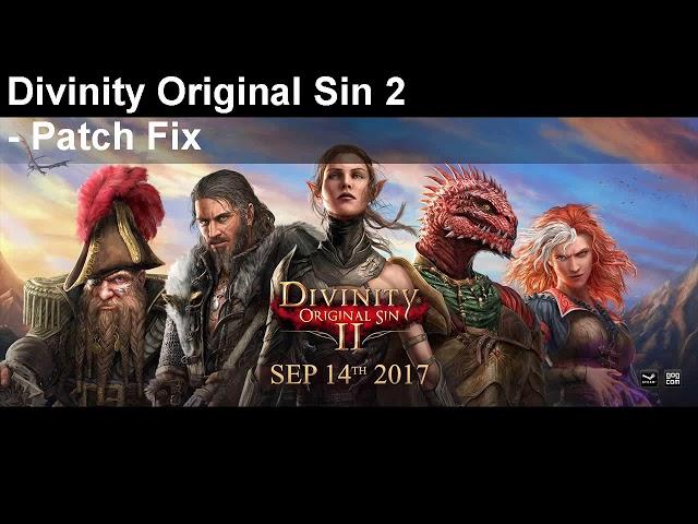 Divinity Original Sin 2 game not starting on pc