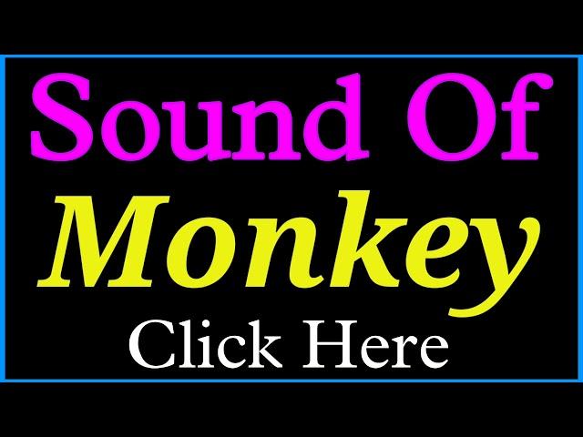 Sound of Monkey | Monkey ka Sound | Sound of Monkey is called | Monkey ke awaaz