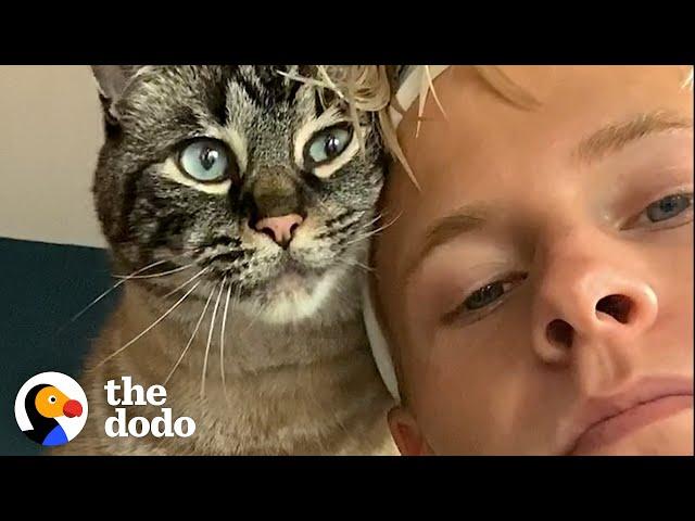 Clingy Cat Has To Be With Dad 24/7 | The Dodo Soulmates