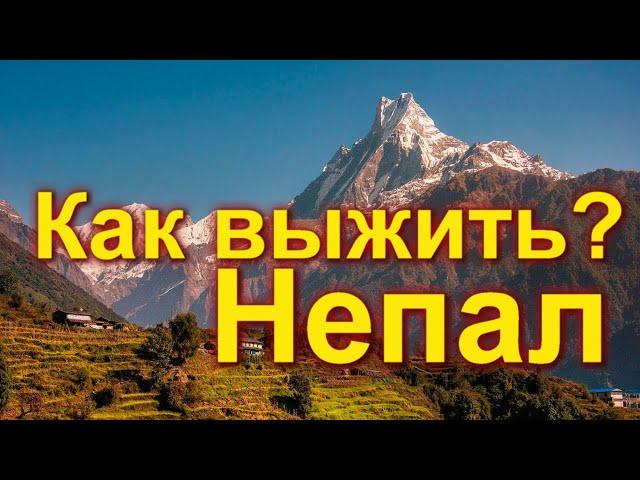 Как выжить? Непал. Работа на удаленке, цены, бизнес идеи.