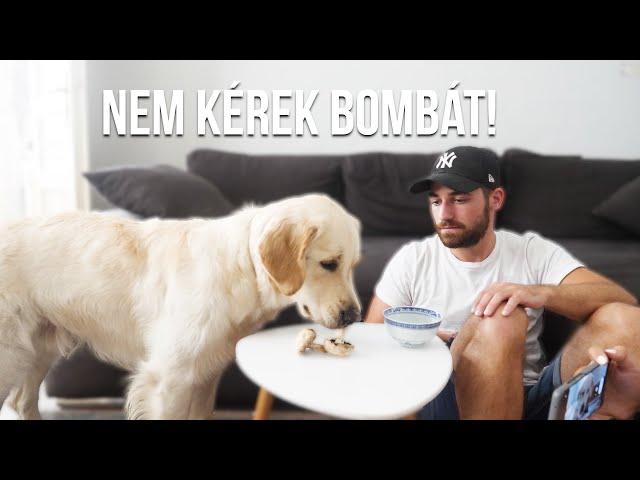 TOBY ÉTELEKET KÓSTOL #2! (gomba, sajt, kínai leves) ｜Toby VLOG #35