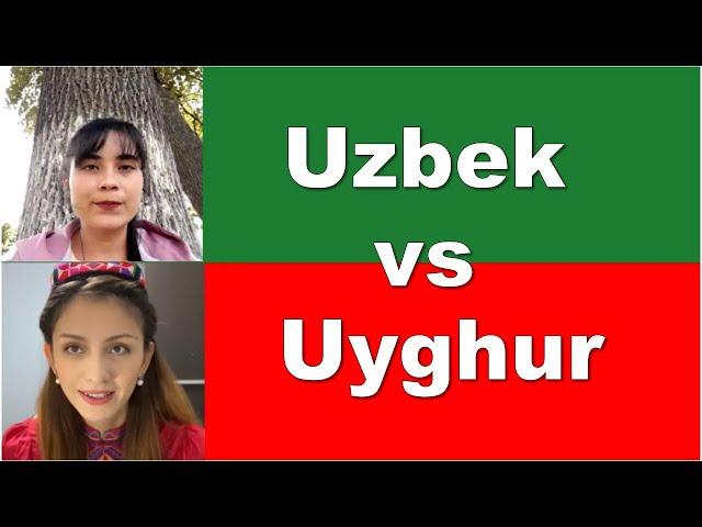 Uzbek VS Uyghur | Language comparison basic phrases