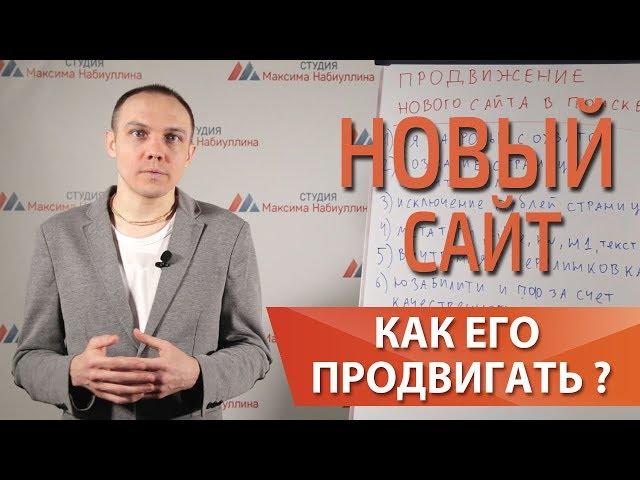 Продвижение в ТОП Яндекса, раскрутка нового сайта, как поднять сайт в топ — Максим Набиуллин