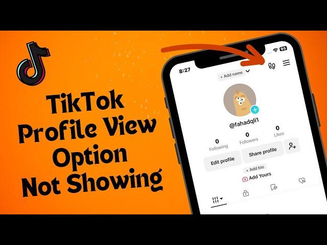 Fix TikTok Profile View Option Not Showing In iPhone