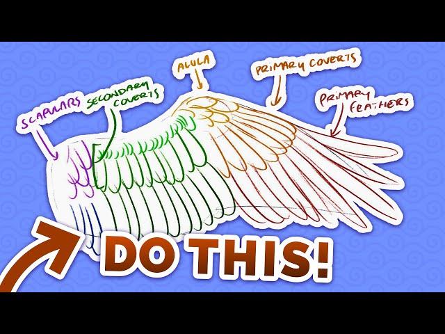 Don't Draw WINGS Like This!