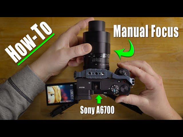 Manual Focus For Beginners Using Sony A6700 - Magnify Zoom, Focus Peaking, and Much More!